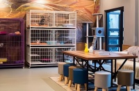 掌握宠物托管服务的成功密码，让你的创业之路一帆风顺！