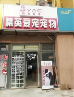 抓住宠物托管服务的黄金机会，让你的创业之路更美好！