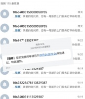 国庆假期新型职业火爆：宠托师帮喂猫日赚六百