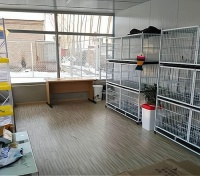 宠物托管服务：让你的爱宠在旅行和工作时得到最好的照顾！