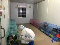 广州白云启动宠物临时托管服务，这些家庭可免费申请→