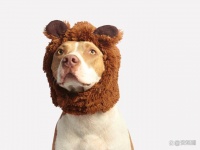 空气净化加湿器：实用性与便捷性的完美结合