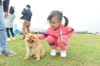 港府推宠物共享公园计划  宠物与主人共行同乐