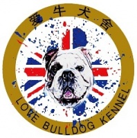 狗狗宠物交流平台——为爱犬人士提供专业咨询服务！