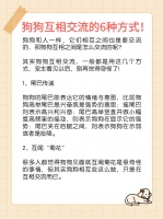 狗狗互相交流的6种方式！