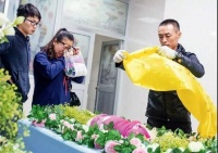 宠物入殓师：和人交流很累 倒不如和狗聊天  网友：话里有话