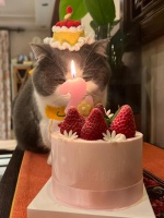 狗狗关节保养的心得 我们家...@悠悠的小喵咪的动态