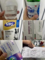 老年犬养护指南I易患疾病I养护攻略