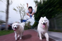 狗狗关节炎症状？如何预防狗狗骨关节炎？