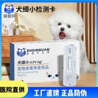 宠物狗狗维生素