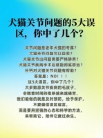 犬猫关节问题的5大误区，你中了几个？