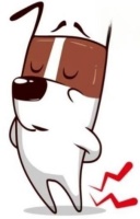 伤害狗狗关节的4件事，你做了几件！