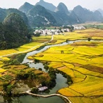 宠物眼睛泪痕污垢，哪种湿纸巾合适？是婴儿的还是宠物专用的合适？物? 爱问知识人