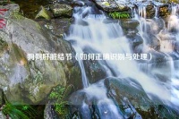 狗狗肝脏结节（如何正确识别与处理）