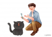你可以保住猫主子们的一口好牙吗？