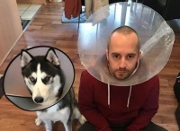 长期这样养狗，是在“伤害”狗狗的身体！