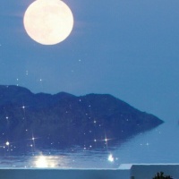 好用到炸！这些宠物鱼油一辈子都不换