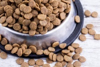 不信父母保健品，宠物保健品下血本，年轻人又被收了一波智商税？