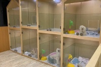 宠物店提供全方位服务，让你的宠物生活更美好。