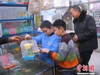 郑州儿童过春节 不去动物园爱逛宠物市场