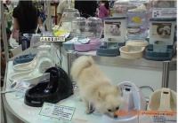 2025年日本东京宠物用品展 2024