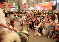 2024第七届中原国际宠物产业博览会