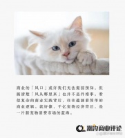 这届年轻人越来越爱养宠物了