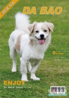 Illustrator设计一个宠物杂志封面教程