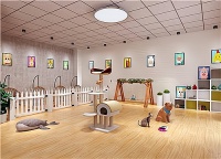 抓住宠物市场的爆发性增长，宠物社区为你打开新的创业领域！