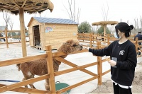 与宠物一起开启美好生活，宠物社区等待你的加入！