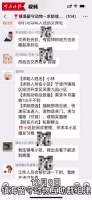 “不管是帮人还是帮动物，宁波都很牛”！百名志愿者接力，救助镇海“留守动物”