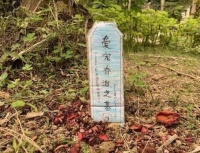宠物死了怎么办？宠物墓地？还是宠物火化？