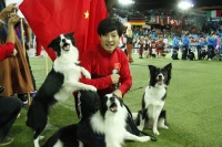 宠物行为训练师宁蔚：排便是一种狗类之间的沟通方式