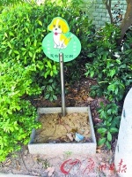 深圳宠物公厕成摆设 专家：要培养狗狗行为礼仪(图)——人民政协网