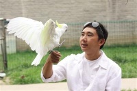 宠物驯导师人才或将有百万缺口