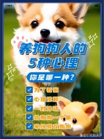 养狗心理大揭秘！你是因为什么原...@小短腿波仔的动态