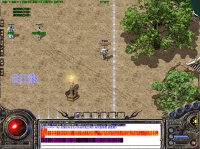 宠物救援如何成为顶尖的宠物3D救援专家