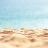 @宠物营养学 的个人主页