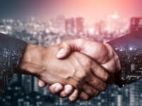 金河生物：非瘟疫苗正处于实验室研究阶段，具有不确定性