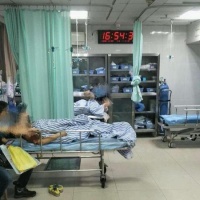 两月前救助宠物狗反被咬伤，宁波一保安确诊狂犬病三天后死亡