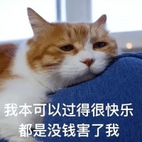为何大众更喜欢“宠物猫”，而非“土猫”？原因很现实