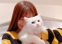 “宠物猫”越卖越便宜，为啥“土猫”越来越吃香？