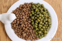 【图片】家养宠物鸟的转食【姚鸿明家有宠物鸟吧】