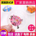 【乌龟活体宠物龟】