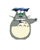 选购龙猫的注意事项，不要和这些动物一起养