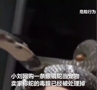 黑龙江男子网购眼镜蛇当宠物，睡觉都要搂着睡，结果被咬险些丧命