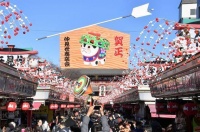 日本宠物猫数量首超宠物狗 背后原因令猫心寒