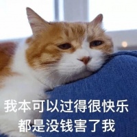 原来“宠物猫”和“土猫”差别很大，真的不忽悠你！