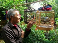 什么鸟好养，又容易与人亲近？看完长知识了！建议收藏