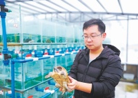 研究生当“龟农”年收入超200万元